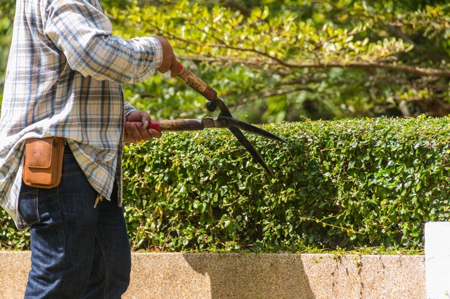 Garden Maintenance Chislehurst, Elmstead, BR7